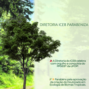 doutorado iceb